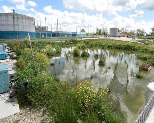 La biostation du Clos de Hilde Didier Doustin © Bordeaux Métropole