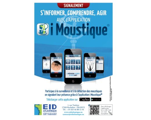 L'application permet de signaler la présence du moustique-tigre © tous droits réservés www.yanngautreau.fr