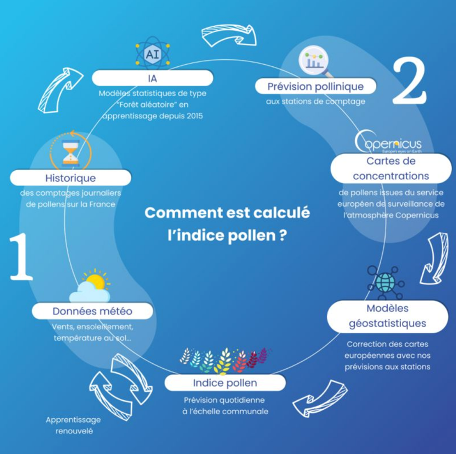 l’indice pollen : un modèle prédictif