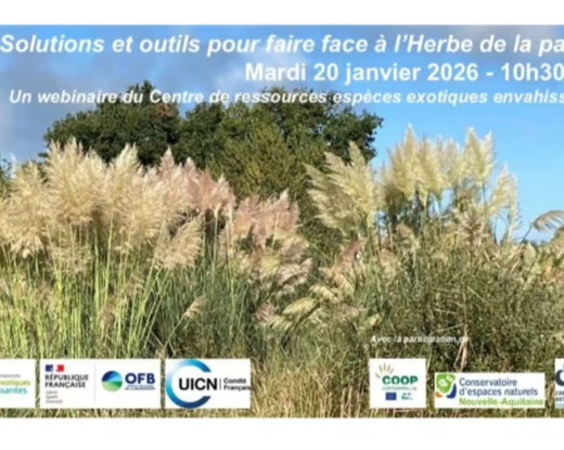 Le webinaire est disponible en replay.
