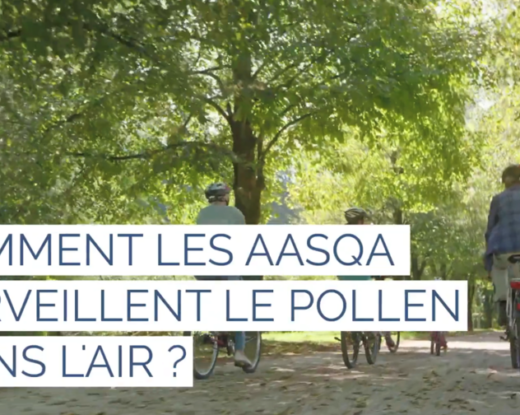 La grande majorité des AASQA propose désormais un indice pollen quotidien