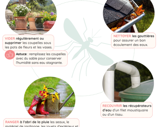 « Petits Pas Verts », une newsletter pour aider les assistantes maternelles