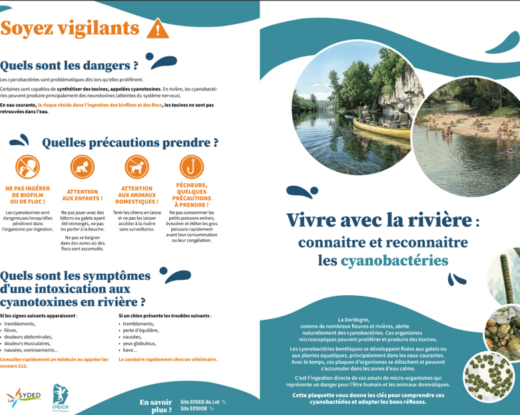 Dépliant de la campagne de communication