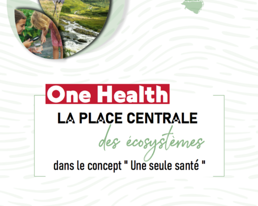 One Health (Une seule santé) : de quoi parle-t-on ?