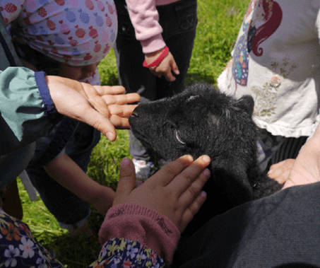 L’idée est proposer des activités sécurisantes pour les enfants et le troupeau de mouton @ CPIE Seuil du Poitou