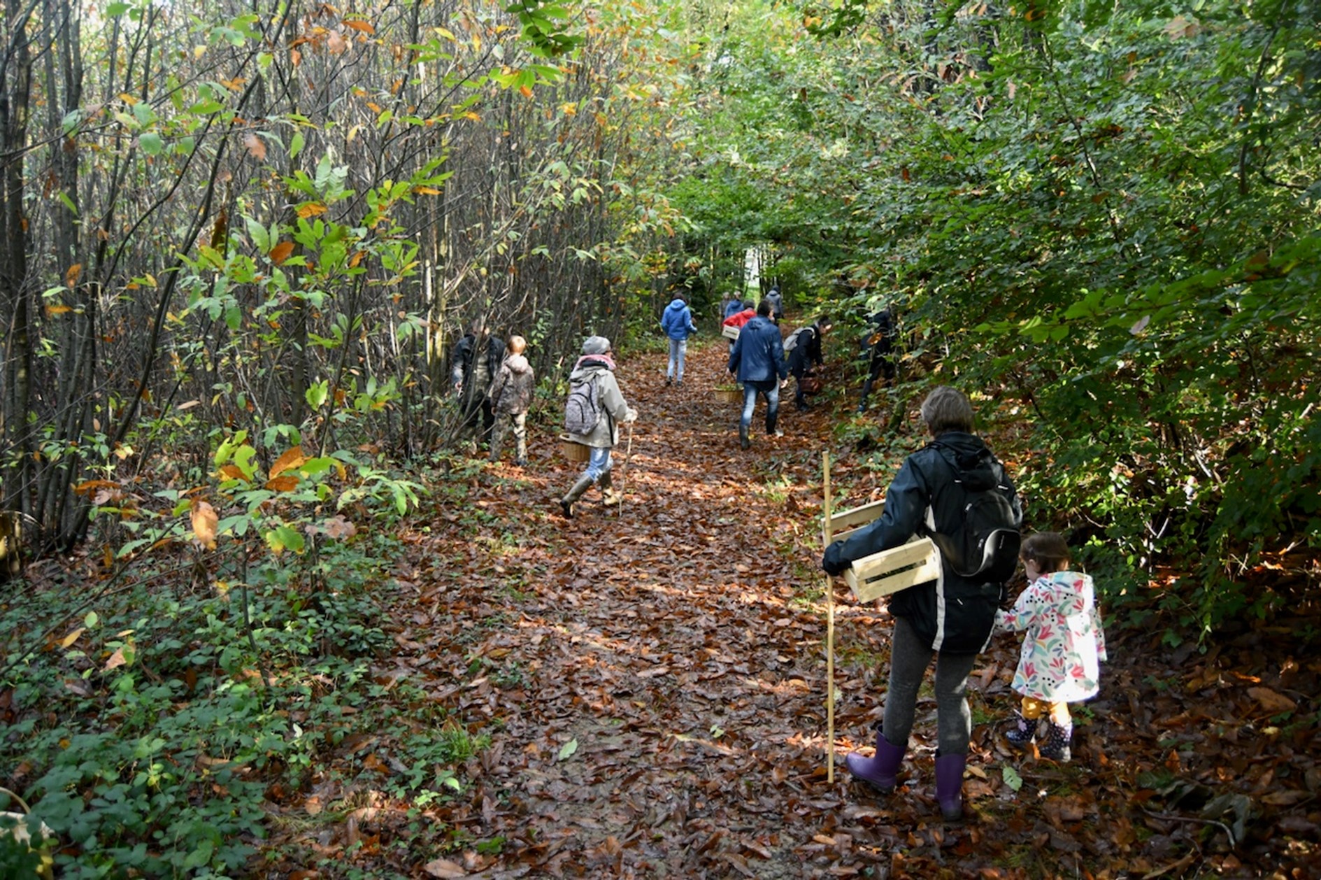 La Soupape Sauvage a organisé un programme d'initiation à la mycologie « Nom d’un petit champignon » @ La Soupape Sauvage